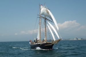 帆船Ami フルセイルトレーニング