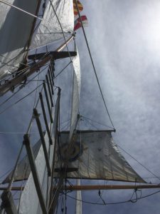 帆船Amiフルセイル2015