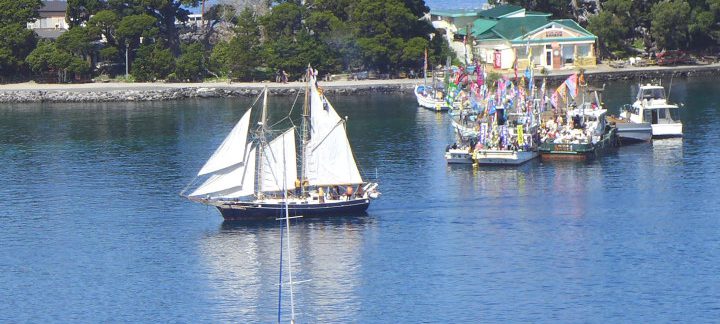 帆船Ami大瀬祭りクルーズ