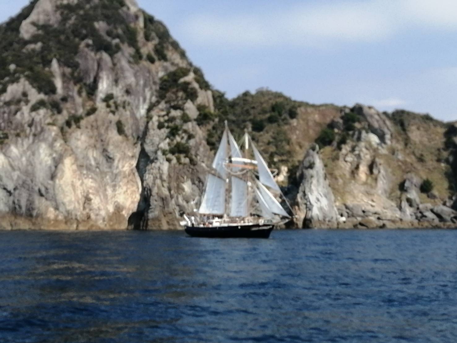 晩秋の駿河湾クルーズ
