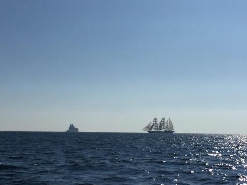 9月4日〜 レース中