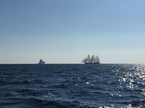 9月4日〜 レース中