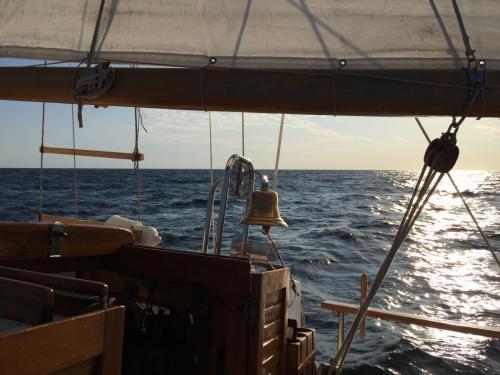 9月4日〜 レース中