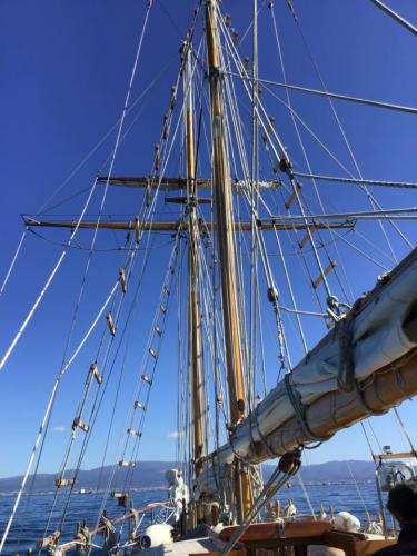 9月17日 函館までもう少し！